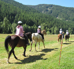 Group Horseback Riding