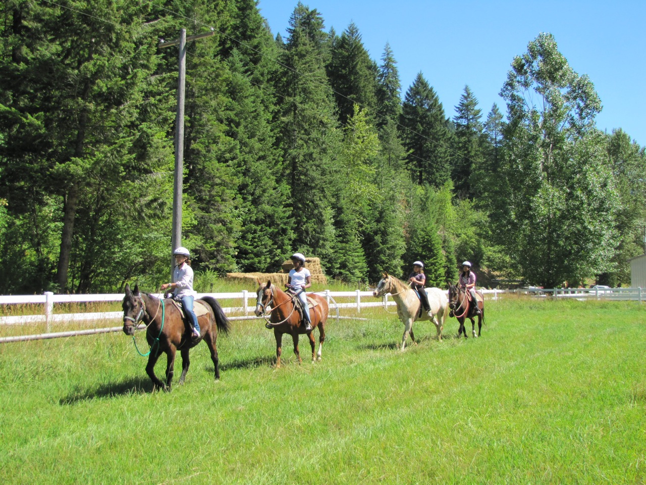 Trail ride in the pasture